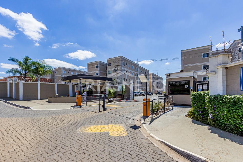 Alugar Residencial / Apartamento em Piracicaba R$ 650,00 - Foto 1