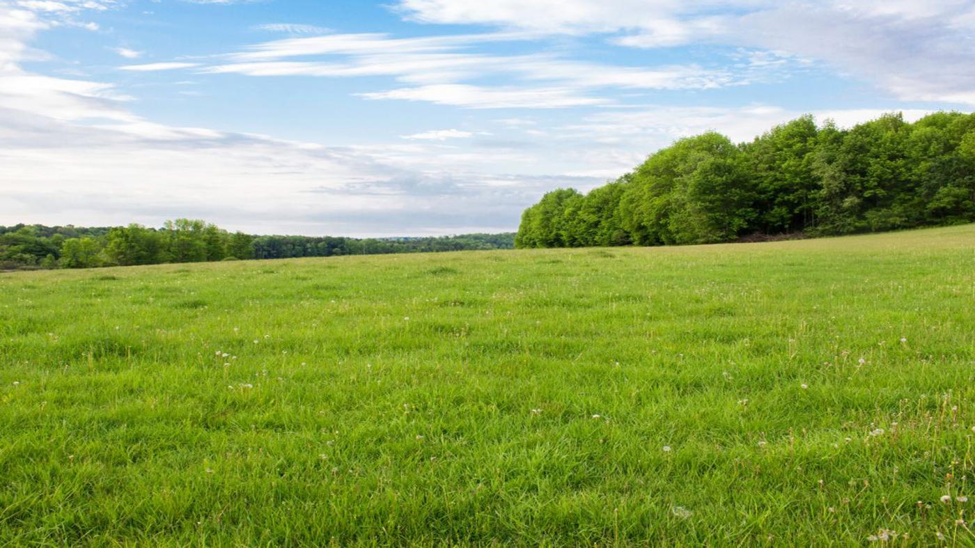 Investir em terrenos em Piracicaba: Vale a pena?
