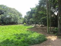 imagem 4 - Terreno com 30 m de frente bairro Dois Córregos imagem 4 - Terreno com 30 m de frente bairro Dois Córregos