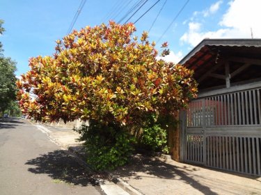 Casa no Bairro Noiva da Colina, muito bem localizada, de 277,60 m² de terreno e 126,20 m² de contrução. Contempla sala, cozinha, três dormitórios, três banheiros, garagem para dois carros, tem edicula, terraço e lavanderia. Aceita financiamento e FGTS.