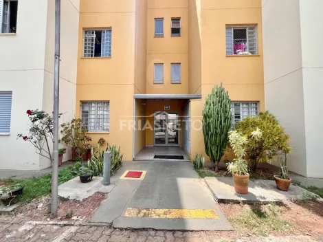 imagem 4 - Apartamento para alugar no Jupiá imagem 4 - Apartamento para alugar no Jupiá
