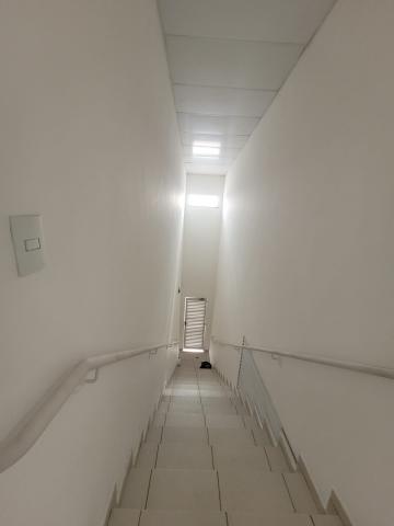 imagem 2 - Sala comercial para locação no bairro Santa Terezinha imagem 2 - Sala comercial para locação no bairro Santa Terezinha