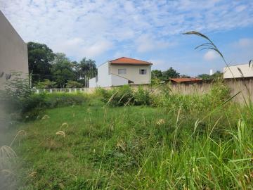 imagem 4 - Terreno comercial para locação no bairro Santa Terezinha imagem 4 - Terreno comercial para locação no bairro Santa Terezinha