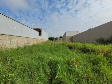 imagem 3 - Terreno comercial para locação no bairro Santa Terezinha imagem 3 - Terreno comercial para locação no bairro Santa Terezinha