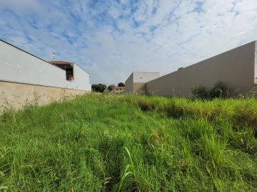 imagem 1 - Terreno comercial para locação no bairro Santa Terezinha imagem 1 - Terreno comercial para locação no bairro Santa Terezinha