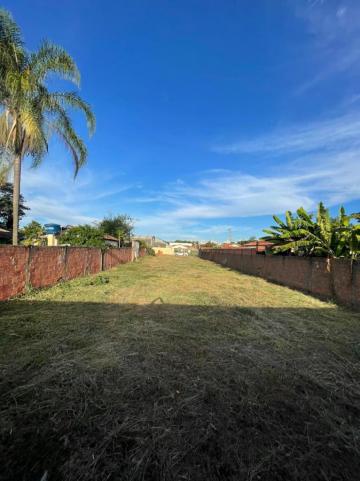 imagem 5 - Residencial - Terreno imagem 5 - Residencial - Terreno