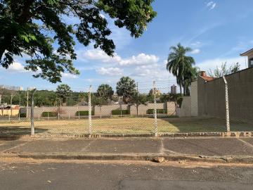 imagem 1 - terreno plano a venda no terras do engenho imagem 1 - terreno plano a venda no terras do engenho