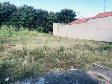 imagem 1 - Terreno Próximo ao UPA Vila Sonia imagem 1 - Terreno Próximo ao UPA Vila Sonia