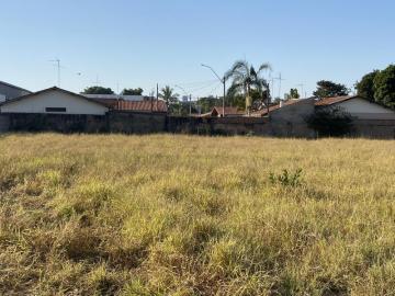 imagem 3 - Terreno à venda no bairro Dois Córregos imagem 3 - Terreno à venda no bairro Dois Córregos