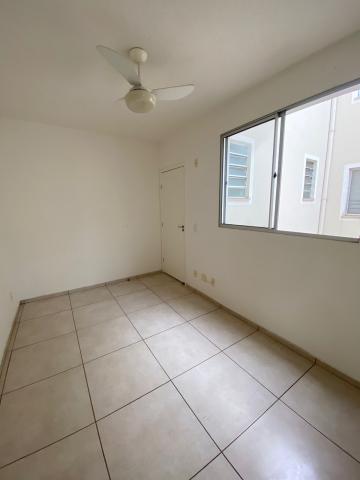 Apartamento para Alugar no Edifiio Paradiso Piracicaba