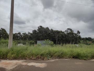 imagem 3 - Terreno à venda no bairro Cecap (Campos do conde) imagem 3 - Terreno à venda no bairro Cecap (Campos do conde)