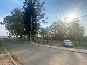 imagem 1 - Terreno para alugar no Bairro Jupiá imagem 1 - Terreno para alugar no Bairro Jupiá