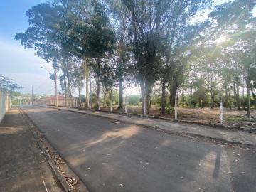 imagem 4 - Terreno para alugar no Bairro Jupiá imagem 4 - Terreno para alugar no Bairro Jupiá