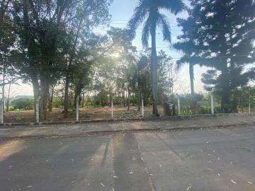 imagem 5 - Terreno para alugar no Bairro Jupiá imagem 5 - Terreno para alugar no Bairro Jupiá