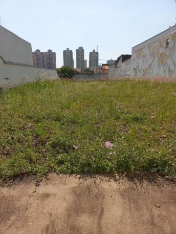 imagem 3 - Terreno comercial à venda no Bairro Alto imagem 3 - Terreno comercial à venda no Bairro Alto