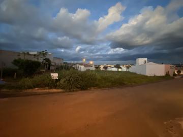 imagem 3 - Terreno à venda no bairro Água Branca imagem 3 - Terreno à venda no bairro Água Branca
