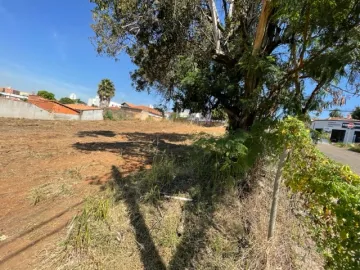imagem 5 - Terreno comercial para locação no bairro Paulicéia imagem 5 - Terreno comercial para locação no bairro Paulicéia