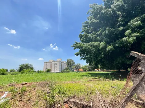 imagem 2 - Comercial - Área imagem 2 - Comercial - Área