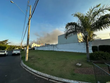 Terreno de esquina comercial com 257,62 m² totalmente plano. (temos mais um lote encostado de mesmo tamanho podendo dobrar o tamanho)