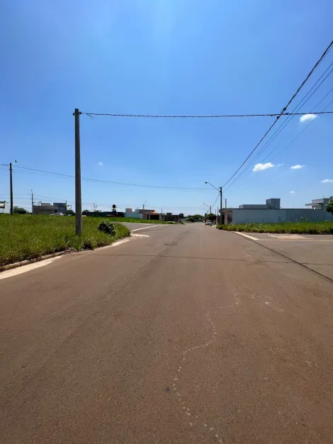 Terreno de esquina, muito bem localizado e com construção ao lado, são 282m2 para voce aproveitar e fazer a sua casa dos sonhos!!
Agende sua vida em mais uma exclusividade Frias neto!.