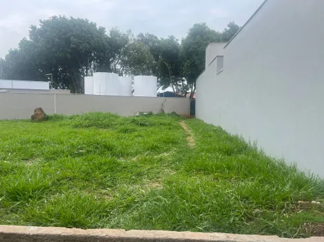imagem 3 - Terreno à venda no bairro Terra Rica imagem 3 - Terreno à venda no bairro Terra Rica