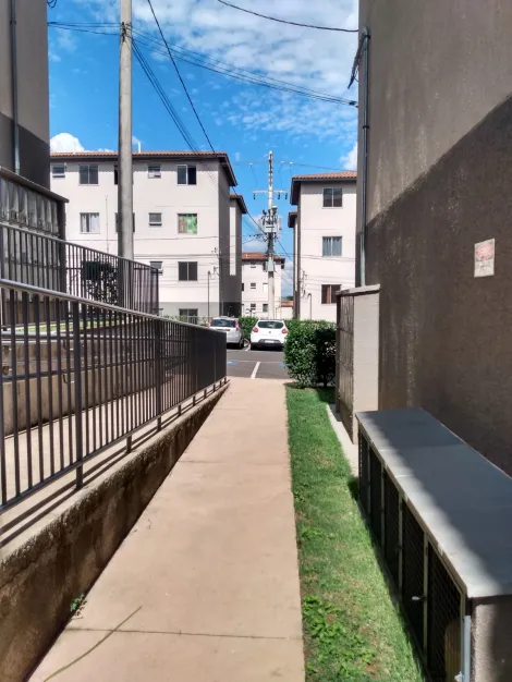 imagem 5 - Residencial - Apartamento imagem 5 - Residencial - Apartamento