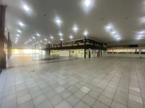 imagem 5 - Imóvel Comercial para alugar em Piracicaba na Avenida Cássio Paschoal Padovani imagem 5 - Imóvel Comercial para alugar em Piracicaba na Avenida Cássio Paschoal Padovani