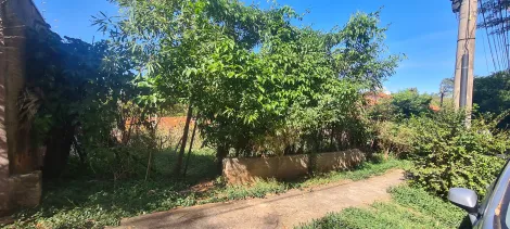 imagem 1 - Terreno à venda no Reserva do Engenho imagem 1 - Terreno à venda no Reserva do Engenho