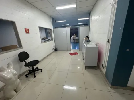 imagem 3 - Imóvel Comercial para alugar - Rua Ipiranga em Piracicaba SP imagem 3 - Imóvel Comercial para alugar - Rua Ipiranga em Piracicaba SP