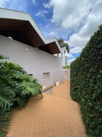 imagem 4 - Casa para venda no bairro São Dimas imagem 4 - Casa para venda no bairro São Dimas