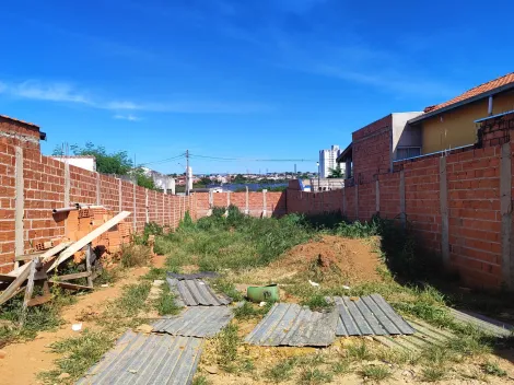 imagem 2 - Terreno grande todo murado - imagem 2 - Terreno grande todo murado -