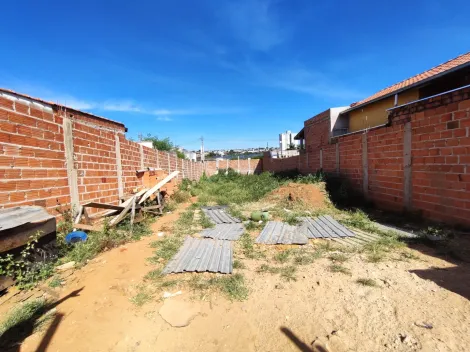 imagem 3 - Terreno grande todo murado - imagem 3 - Terreno grande todo murado -
