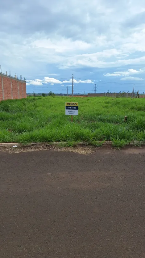 imagem 4 - Residencial - Terreno imagem 4 - Residencial - Terreno
