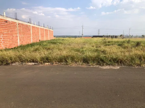 Lindo terreno no Conquista, contendo 250m² (10x25) totalmente plano e muito bem localizado na parte alta do empreendimento, pois foi adquirido na Fase 1 de Vendas.
O empreendimento contempla: Quadras Recreativas, Campo de futebol gramado, Playground, Estação de Ginastica, Praças de Encontro, Ciclovias, Pista de caminha, Bosque e muito mais.
Você vai se surpreender!