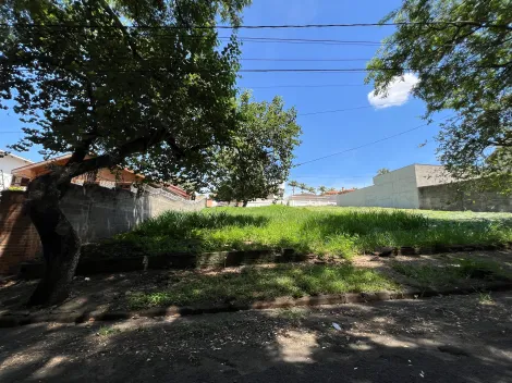 imagem 5 - Residencial - Terreno imagem 5 - Residencial - Terreno