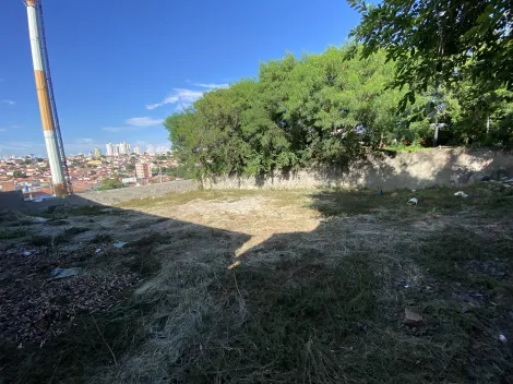imagem 5 - Terreno Raposo Tavares imagem 5 - Terreno Raposo Tavares