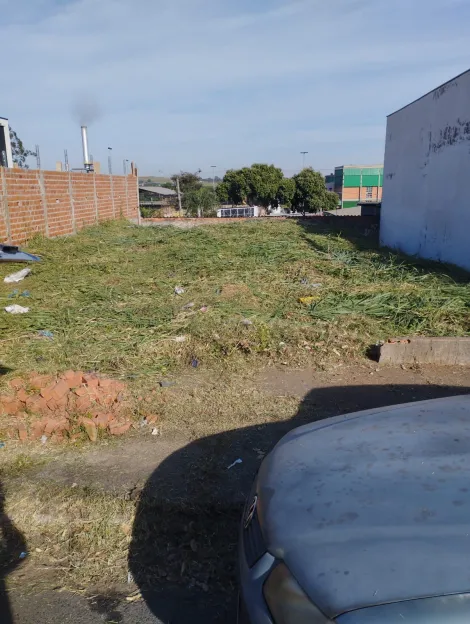 imagem 1 - Terreno plano ao lado da klabin imagem 1 - Terreno plano ao lado da klabin