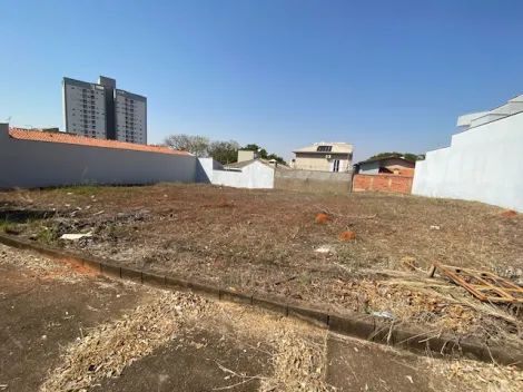 imagem 2 - Terre no bairro Água Branca imagem 2 - Terre no bairro Água Branca