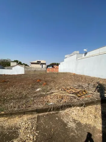 imagem 3 - Terre no bairro Água Branca imagem 3 - Terre no bairro Água Branca