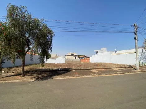 imagem 4 - Terre no bairro Água Branca imagem 4 - Terre no bairro Água Branca