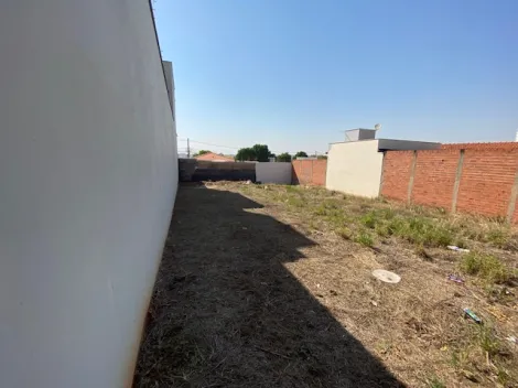 imagem 1 - Terreno RECANTO Água Branca imagem 1 - Terreno RECANTO Água Branca