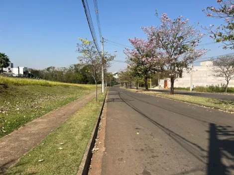 imagem 4 - Terreno à Venda no Bairro Santa Rosa Localização Privilegiada! imagem 4 - Terreno à Venda no Bairro Santa Rosa Localização Privilegiada!