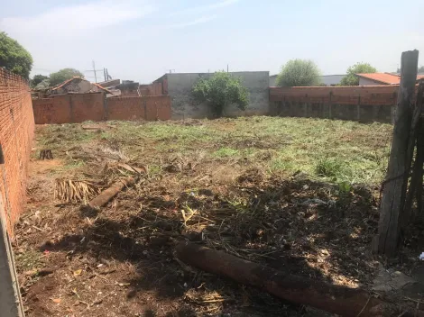 imagem 2 - Terreno comercial para alugar em Piracicaba no Parque São Jorge imagem 2 - Terreno comercial para alugar em Piracicaba no Parque São Jorge