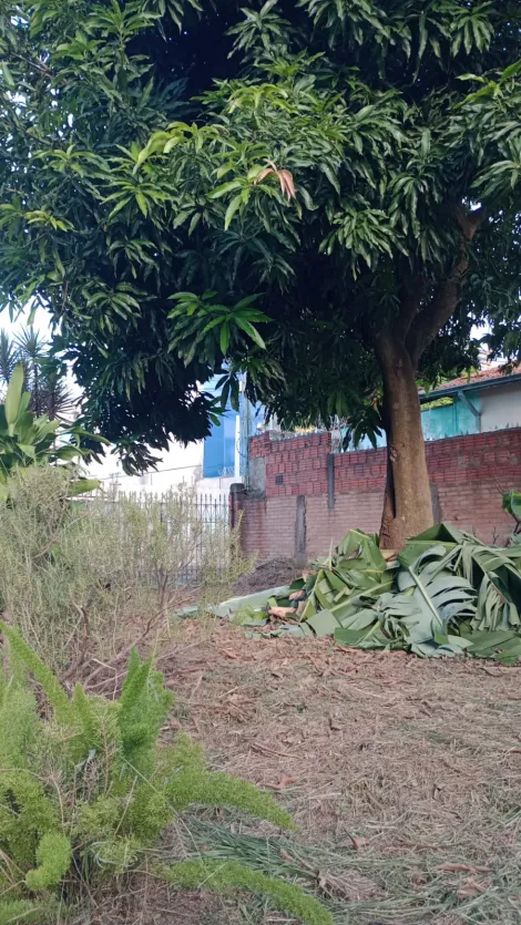 imagem 1 - Terreno área industrial - Jd. Pacaembú - Piracicaba imagem 1 - Terreno área industrial - Jd. Pacaembú - Piracicaba