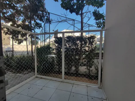 imagem 5 - Apartamento para Locação e Venda em Piracicaba - Piso Térreo! imagem 5 - Apartamento para Locação e Venda em Piracicaba - Piso Térreo!