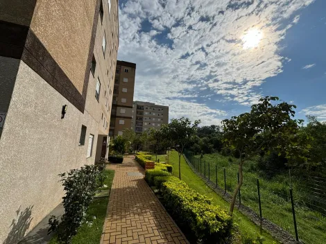 imagem 3 - Residencial - Apartamento imagem 3 - Residencial - Apartamento