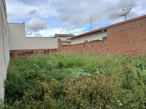 imagem 5 - Terreno murado à venda Bairro Itapuã imagem 5 - Terreno murado à venda Bairro Itapuã