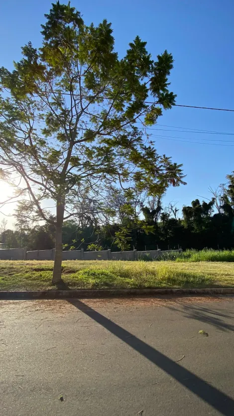 imagem 2 - terreno PLANO  à venda no cond Vila Bella Vista imagem 2 - terreno PLANO  à venda no cond Vila Bella Vista