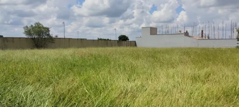 imagem 1 - Terreno à venda no bairro Jardim São Francisco imagem 1 - Terreno à venda no bairro Jardim São Francisco