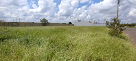 imagem 3 - Terreno à venda no bairro Jardim São Francisco imagem 3 - Terreno à venda no bairro Jardim São Francisco